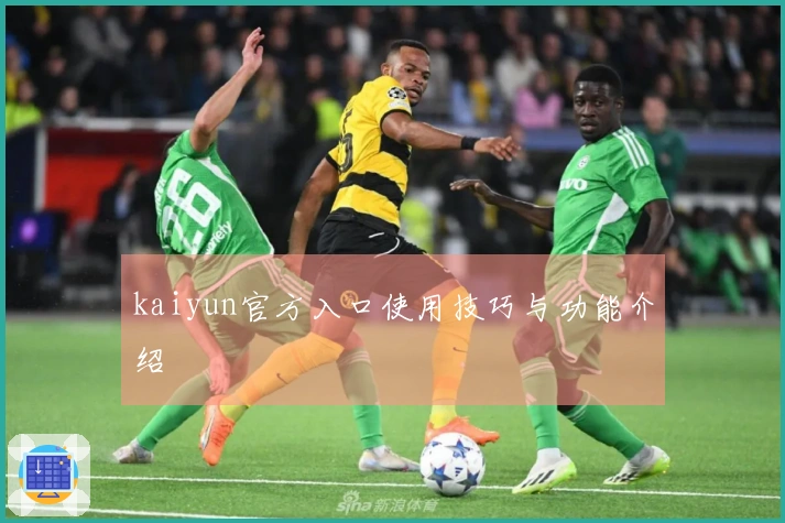 kaiyun官方入口使用技巧与功能介绍